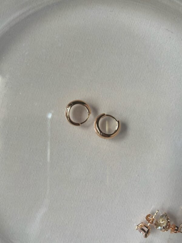 Mini Earrings loops Earrings