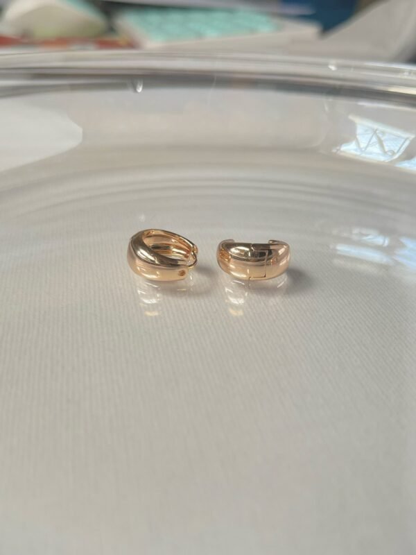 Mini Earrings loops Earrings